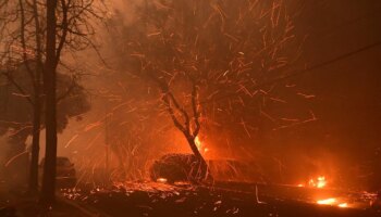 Testigo de la devastación del incendio en Los Ángeles: "La ciudad que conocíamos ya no existe"