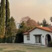 The Surprising Grief of Having Your Home Survive a Wildfire