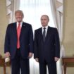 Trump bereitet nach eigenen Angaben Treffen mit Putin vor