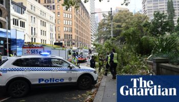 Two injured by falling tree amid strong winds at Sydney’s Hyde Park