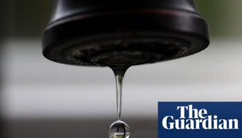 UK failing to match EU in fight against ‘forever chemicals’, say scientists