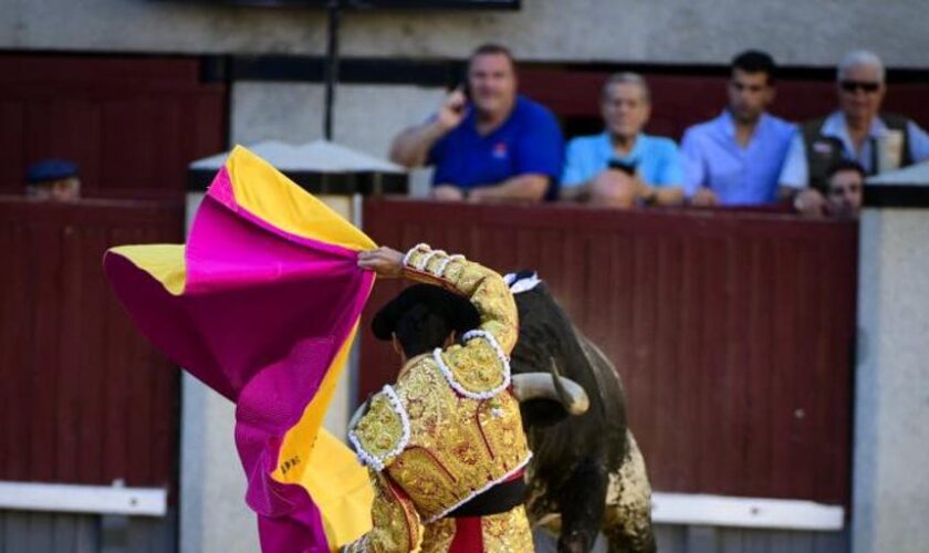 Un cartel de Madrid para Madrid, ¡y con toros de Adolfo!