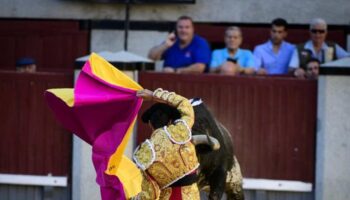 Un cartel de Madrid para Madrid, ¡y con toros de Adolfo!