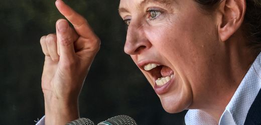 Vattenfallchef wirft Alice Weidel Ignoranz gegenüber den Fakten vor