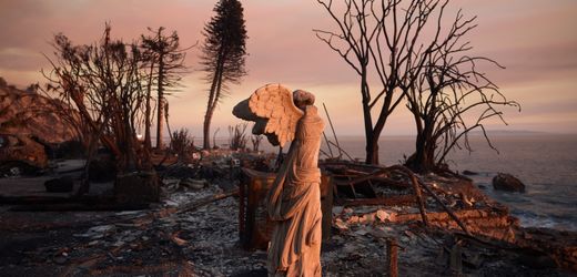 Waldbrände in Kalifornien: So verändern die Feuer langfristig das Klima