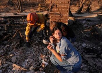 Waldbrände in Los Angeles: Wie Vermieter an den Feueropfern verdienen wollen