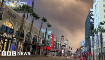 What it's like inside LA's real life apocalypse movie