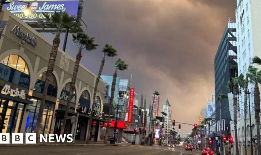 What it's like inside LA's real life apocalypse movie