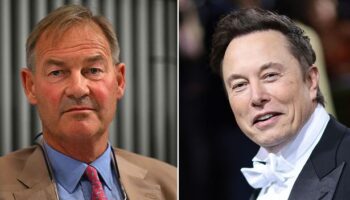 Who is Rupert Lowe? Ex-Southampton FC chairman who Elon Musk backs to succeed Nigel Farage