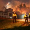 Wildfires: How under threat are cities?