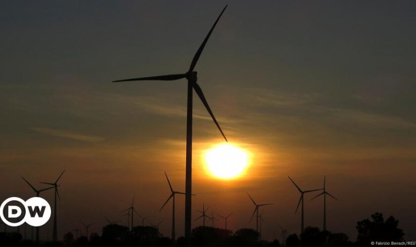 Wind and solar power drive Germany's renewable energy surge