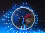 'World-first' Paddington Bear cameo appearance at London's New Year fireworks spectacular thrills fans - but leaves many wondering about how it all worked and what was the cost