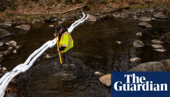 ‘I applaud the EPA’: agency launches formal review of five toxic chemicals