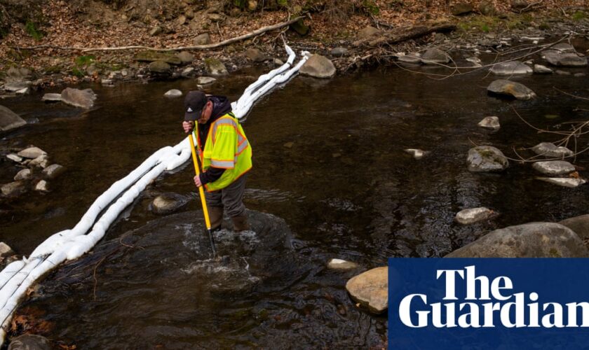 ‘I applaud the EPA’: agency launches formal review of five toxic chemicals